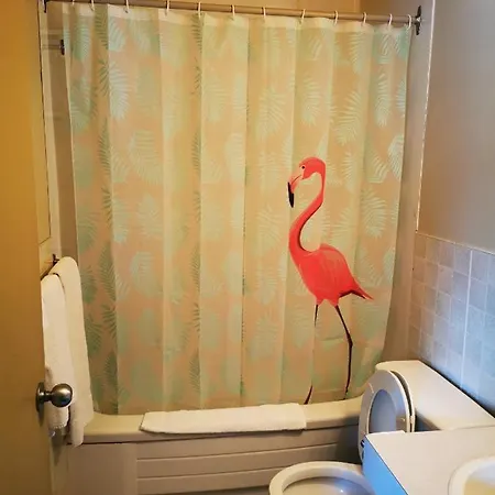 Somerset Motel Swan Lake